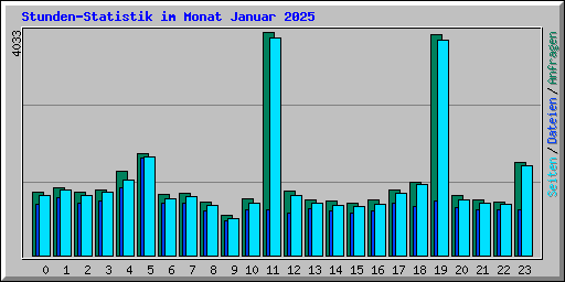 Stunden-Statistik im Monat Januar 2025