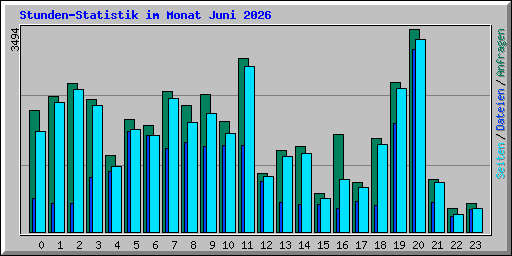 Stunden-Statistik im Monat Juni 2026